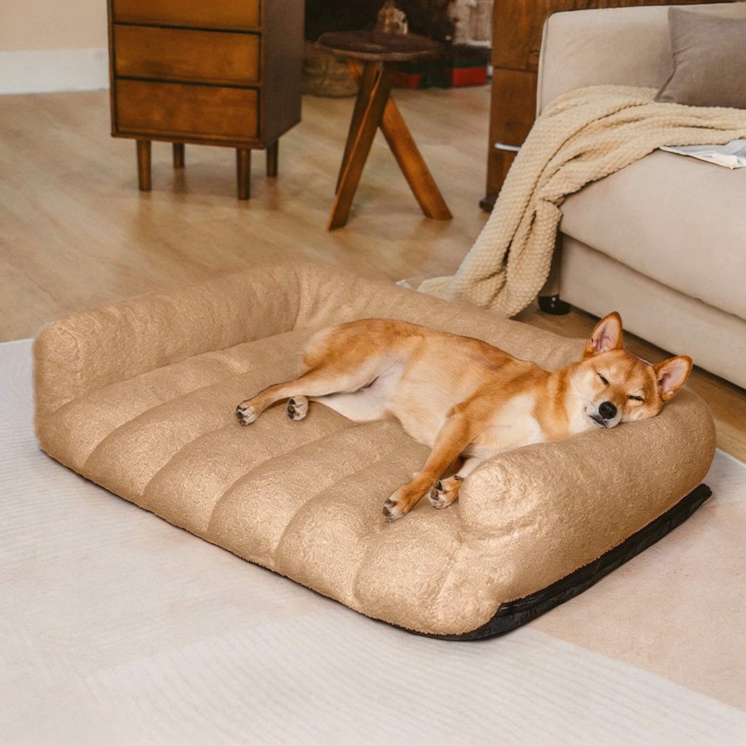 Dog Beds