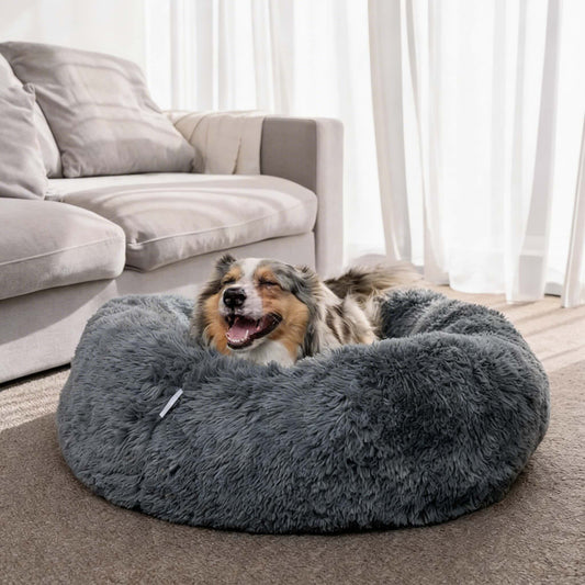 Orthopaedic Large Dog Bed - Memory Foam Plush Mattress for Big Breeds