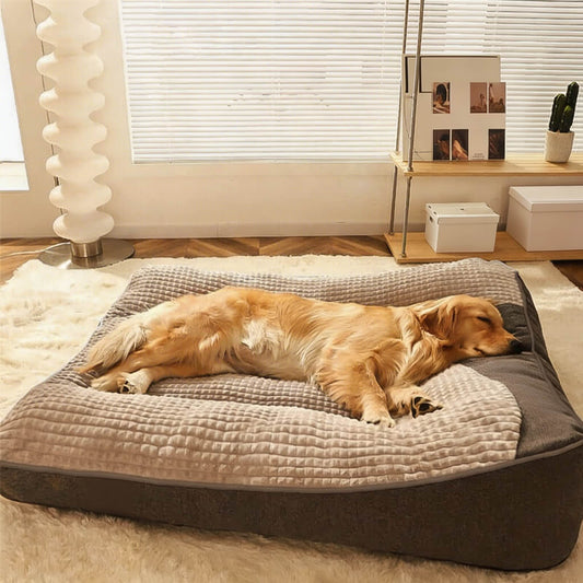 Large Orthopedic Dog Bed with Thick Spine Support, Anti-Slip Base for Large Dogs