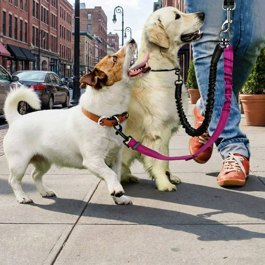 Adjustable Double Dog Leash Coupler Shock Absorbing Bungee